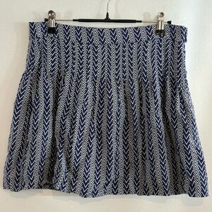 GAP Blue and White Chevron A-Line Skirt size 2